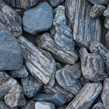 kamień w kolorze kory